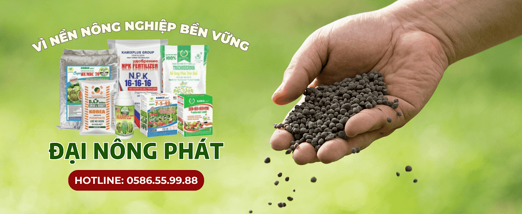 đẠI nÔNG pHÁT KAMIX