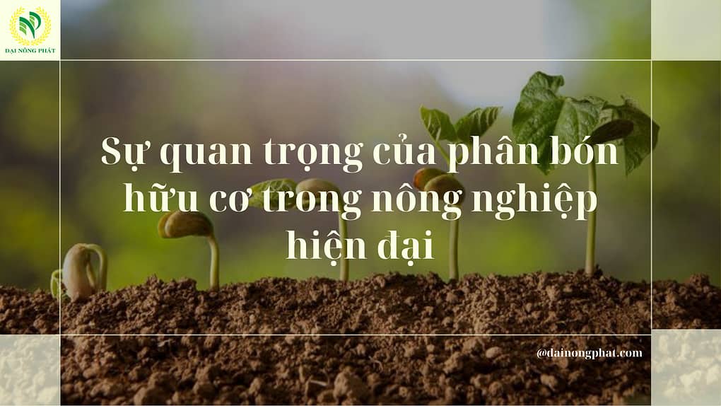 Phân bón hữu cơ trong nông nghiệp hiện đại