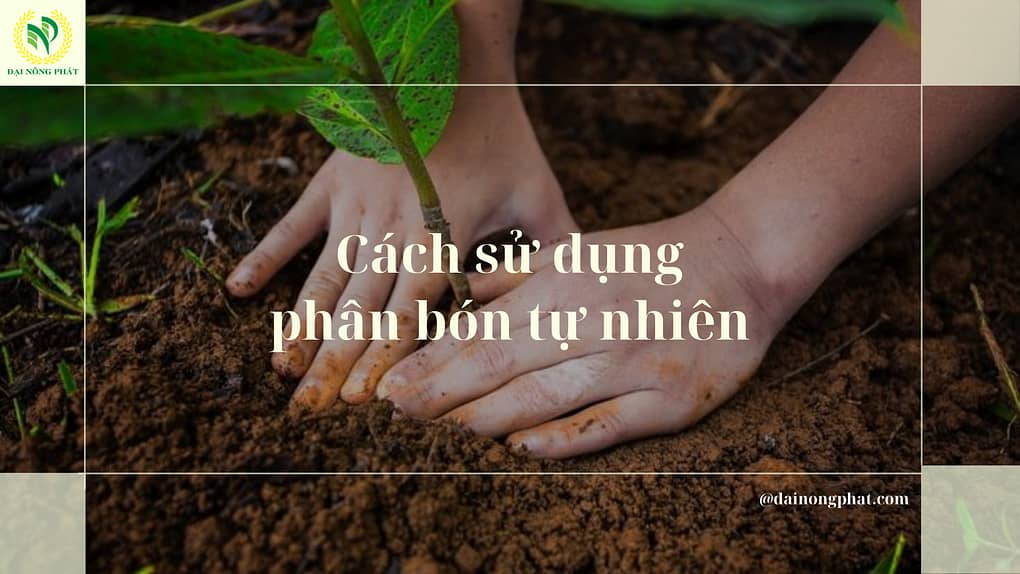 Cách sử dụng phân bón tự nhiên đối với từng loại cây