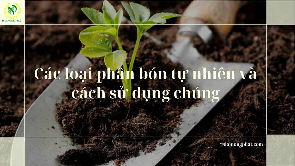 Sử dụng phân bón tự nhiên