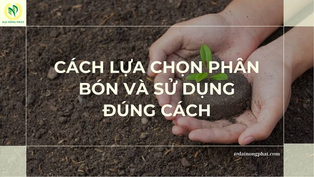 Cách lựa chọn phân bón đúng cách