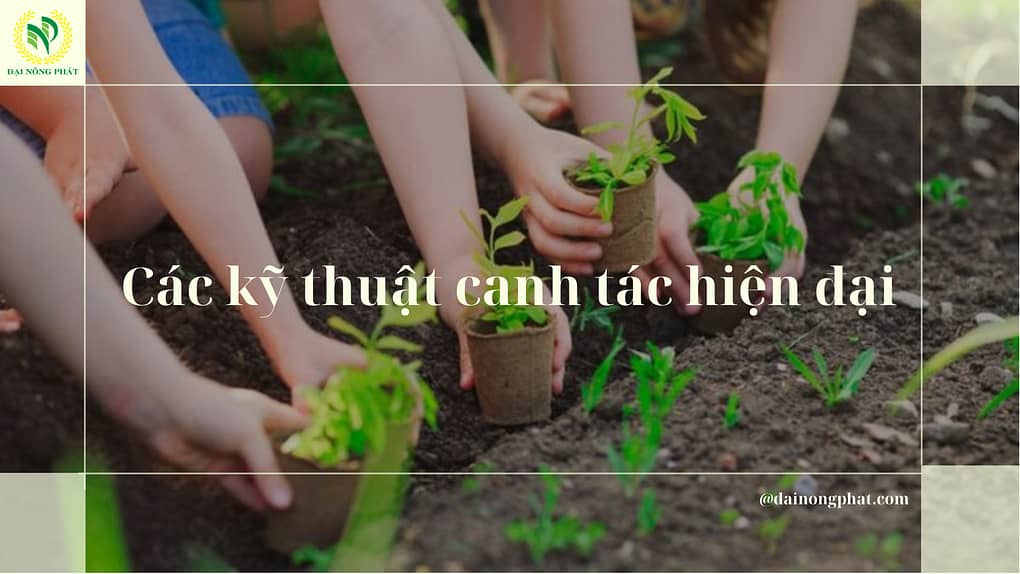 Các kỹ thuật canh tác hiện đại