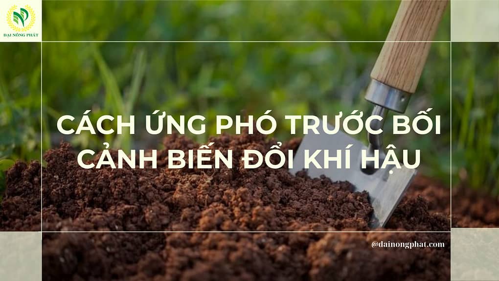 ỨNG PHÓ VỚI BIẾN ĐỔI KHÍ HẬU