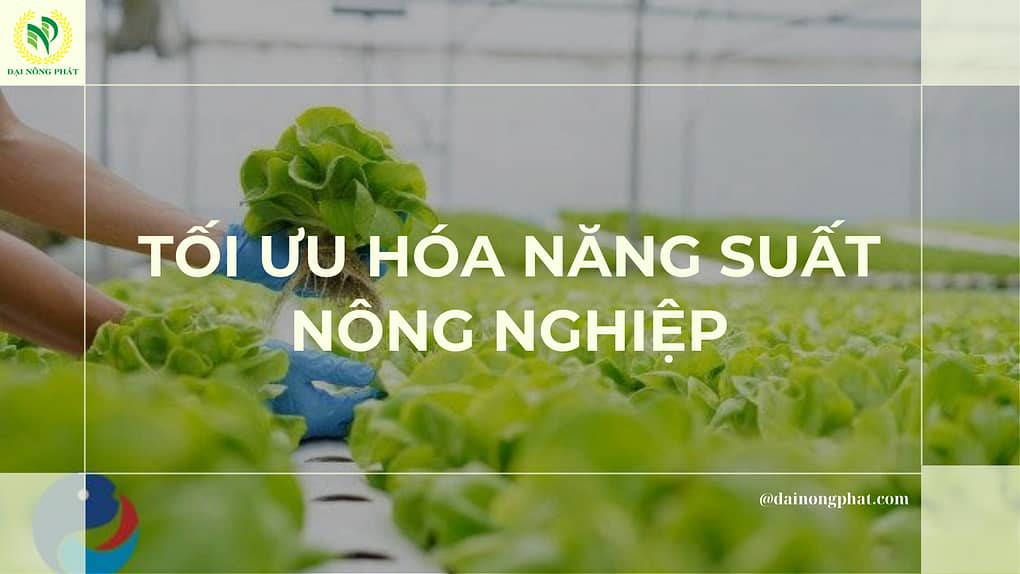 Tối ưu hóa năng suất nông nghiệp