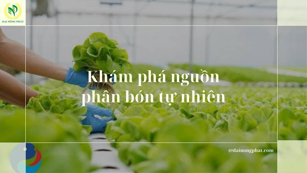 Khám phá nguồn phân bón tự nhiên