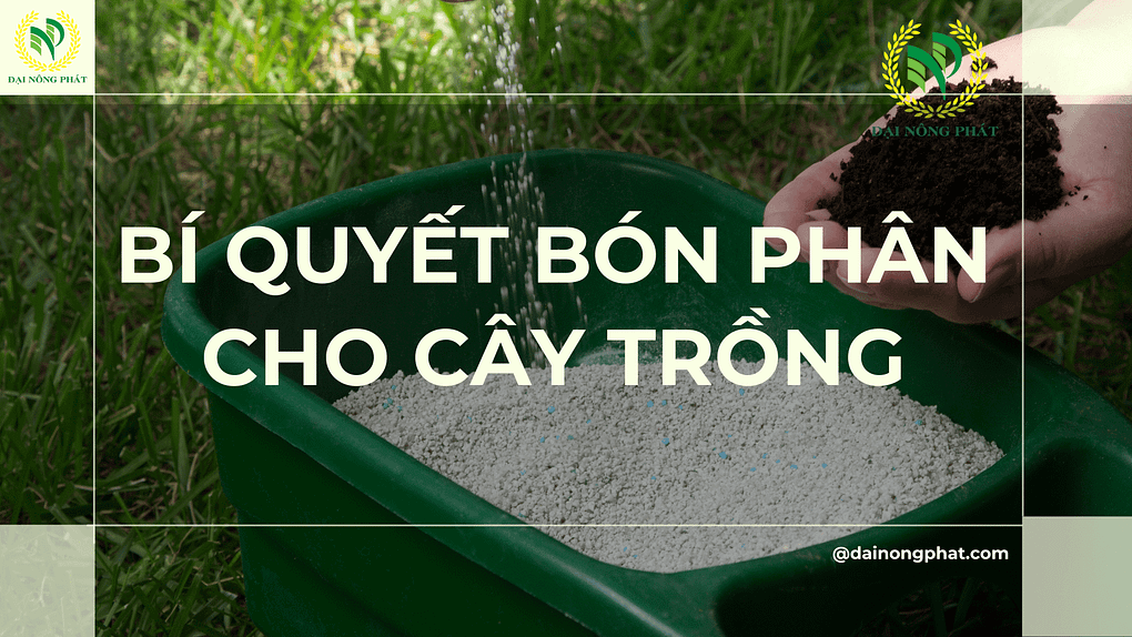 Bí quyết bón phân cho cây trồng