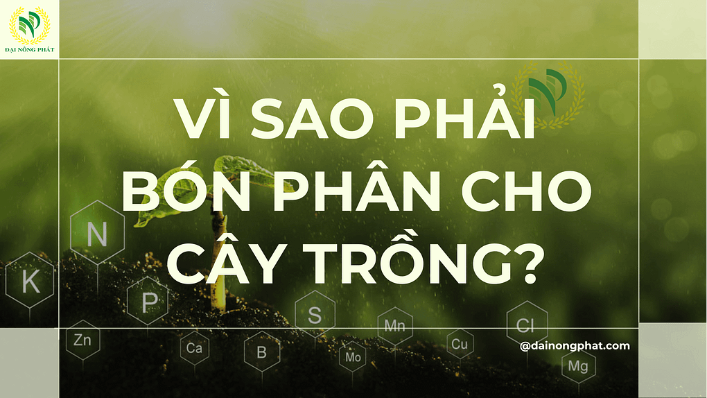 Bón phân cho cây trồng