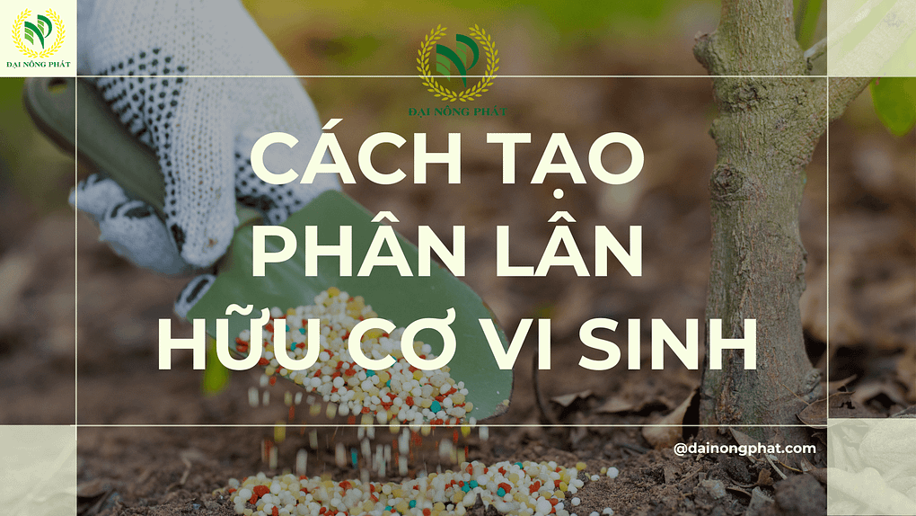 Cách tạo phân lân hữu cơ vi sinh