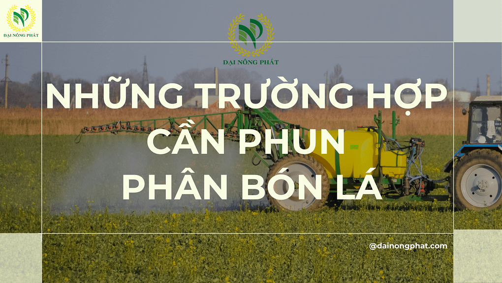 Những trường hợp cần phun phân bón lá