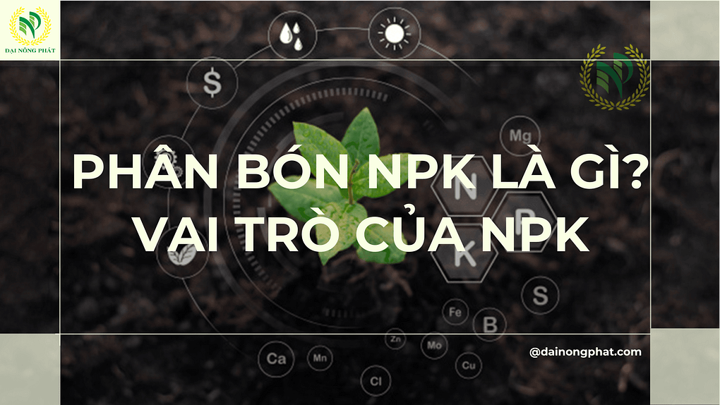 Phân bón NPK là gì