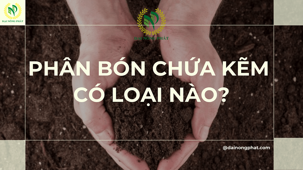 Phân bón chứa kẽm có loại nào