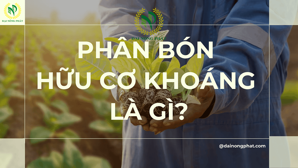 Phân bón hữu cơ khoáng là gì