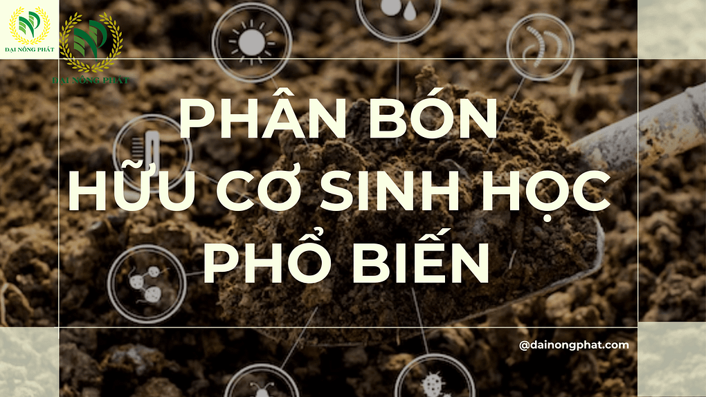 Phân bón hữu cơ sinh học phổ biến