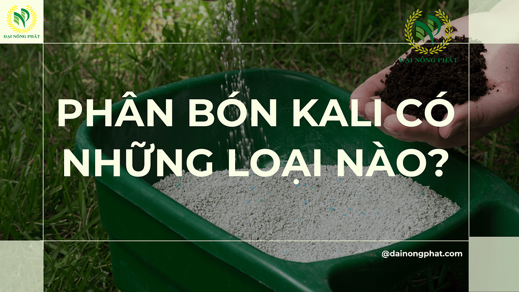 Phân bón kali có những loại nào