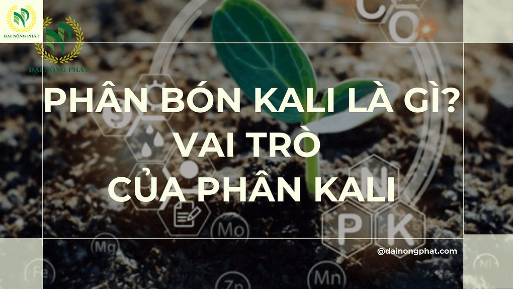 Phân bón kali là gì