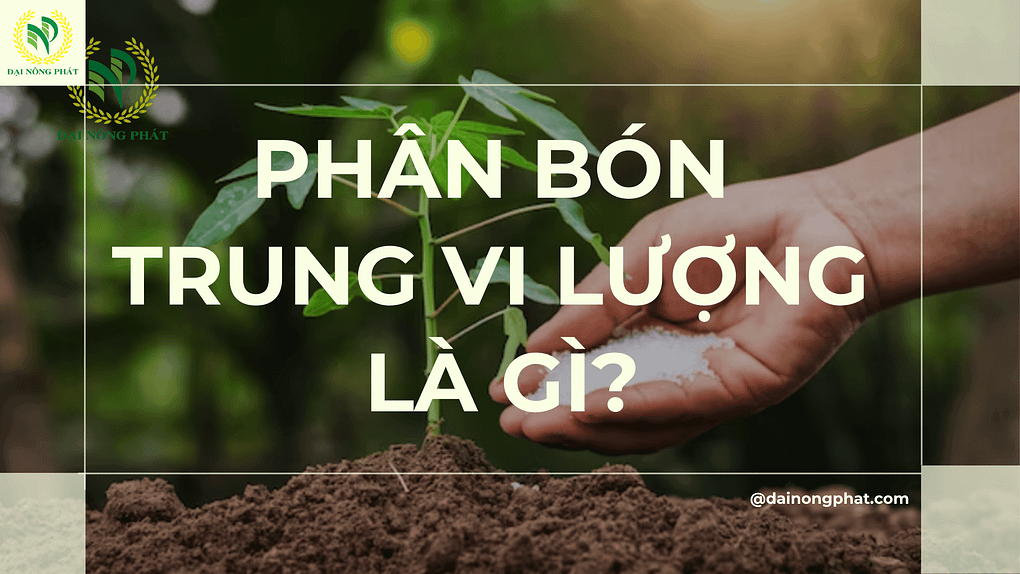 Phân bón trung vi lượng là gì