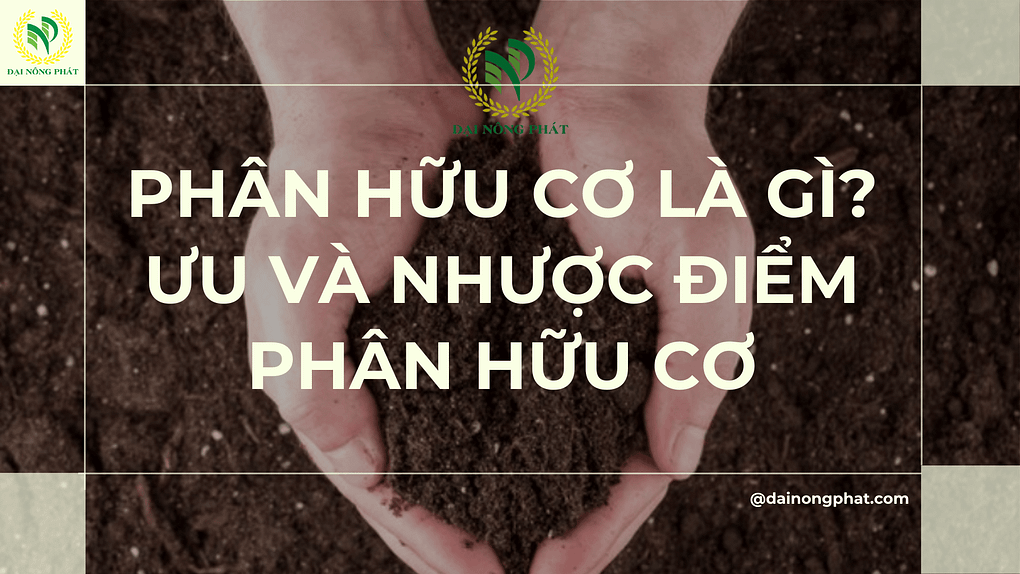 Phân hữu cơ là gi