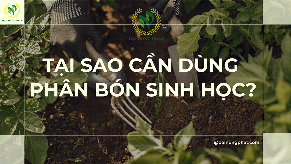 Tại sao cần dùng phân bón sinh học