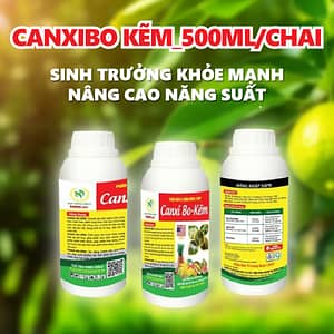 CANXIBO KẼM