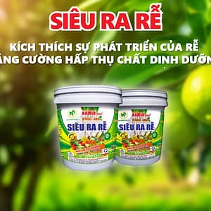 KAMIX SIÊU RA RỄ