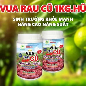 Vua tạo củ 1kg