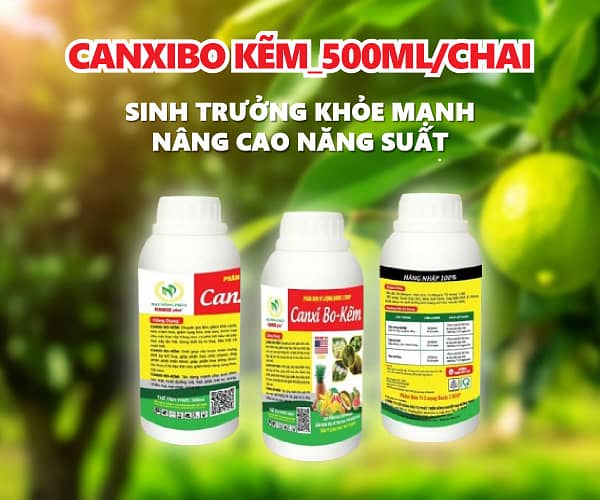 CANXIBO KẼM