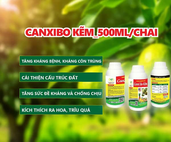 CANXIBO KẼM