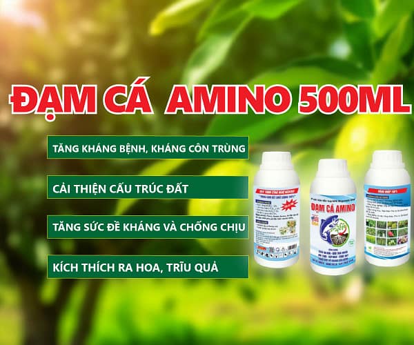 Đạm cá Amino 500ml /chai