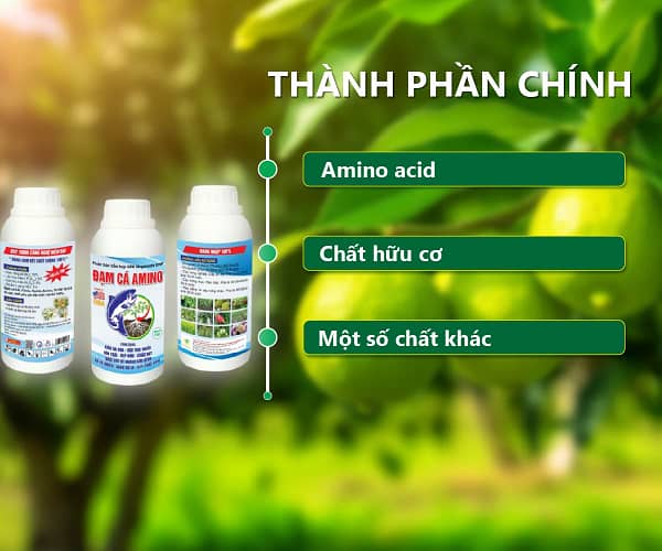 Đạm cá Amino 500ml /chai