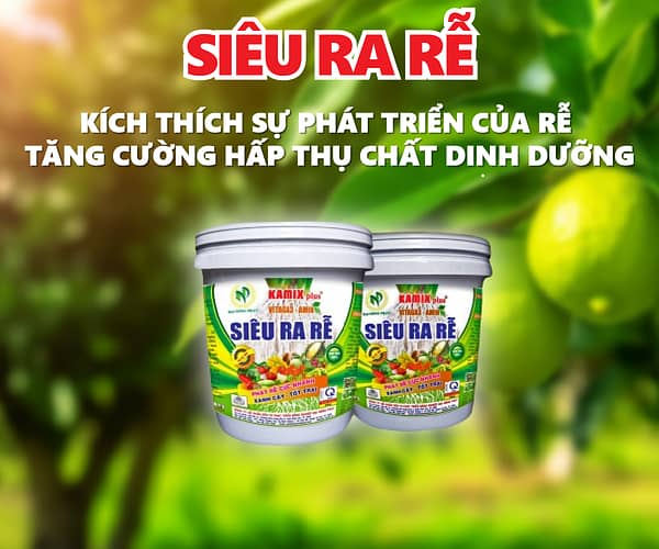 KAMIX SIÊU RA RỄ