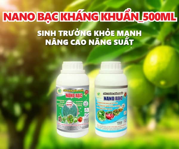 NANO BẠC KHÁNG KHUẨN