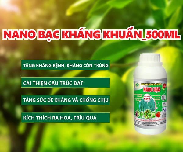 NANO BẠC KHÁNG KHUẨN