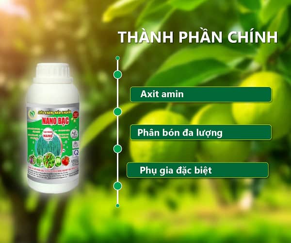 NANO BẠC KHÁNG KHUẨN