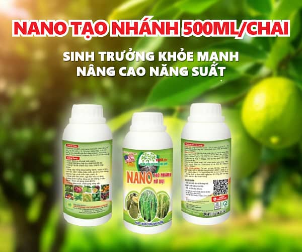 NANO TẠO NHÁNH