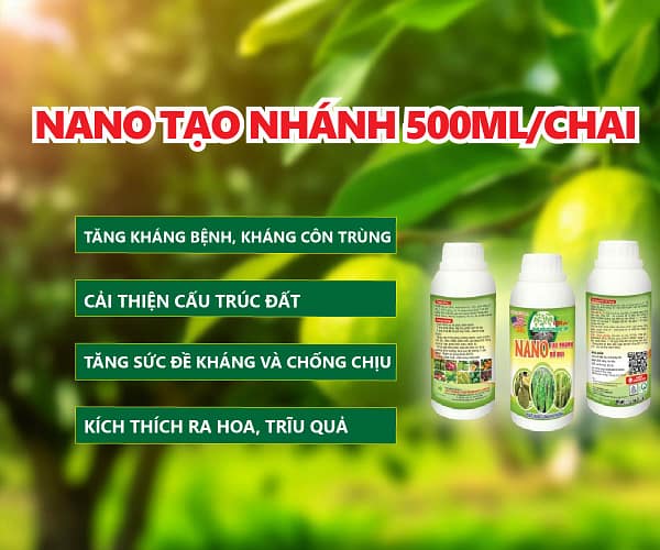 NANO TẠO NHÁNH