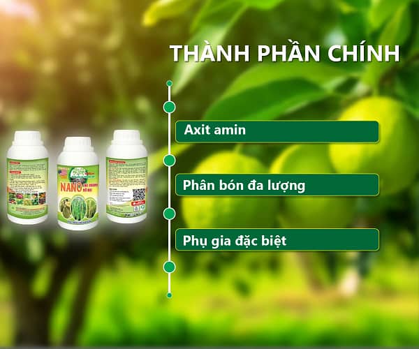 NANO TẠO NHÁNH