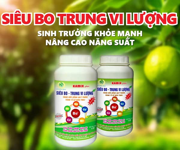 Siêu bo trung vi lượng 1 lít