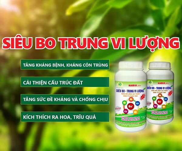 Siêu bo trung vi lượng 1 lít