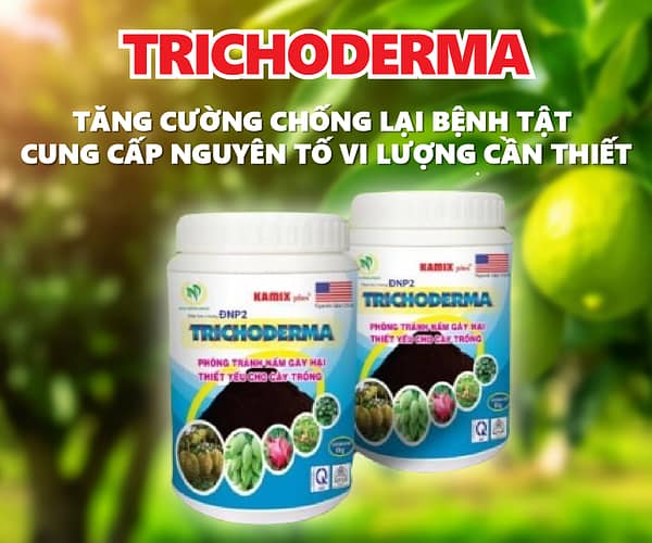 Phân bón KAMIX TRICHODERMA