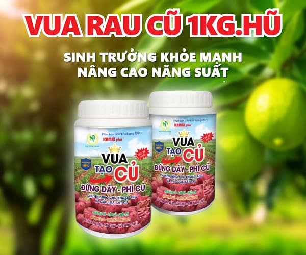 Vua tạo củ 1kg