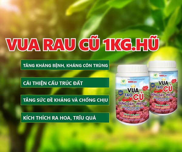 Vua tạo củ 1kg