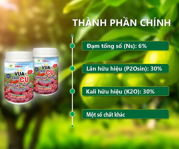 Vua tạo củ 1kg