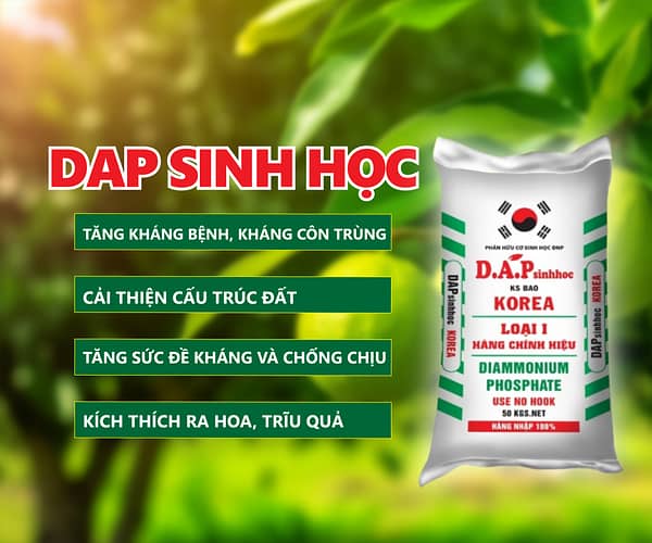 DAP KOREA sinh học