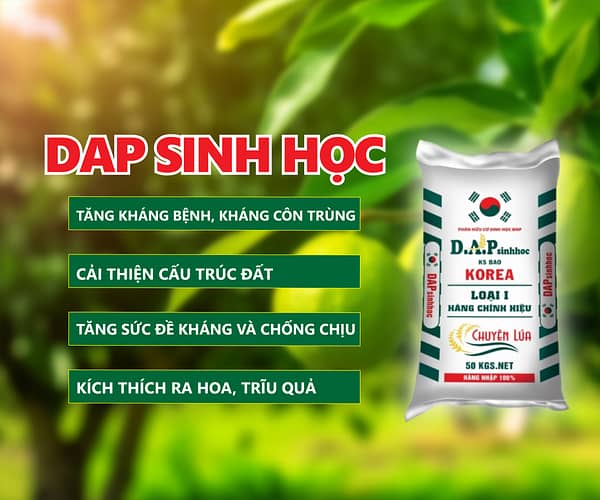 DAP CHUYÊN LÚA LỢI ÍCH