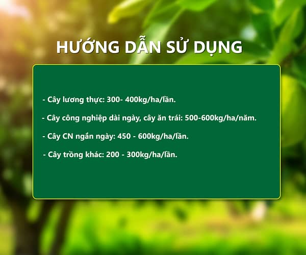 Phân chuyên lúa hướng dẫn sử dụng