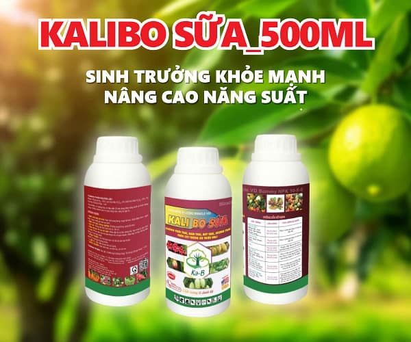 Kali Bo sữa 500ml DNP