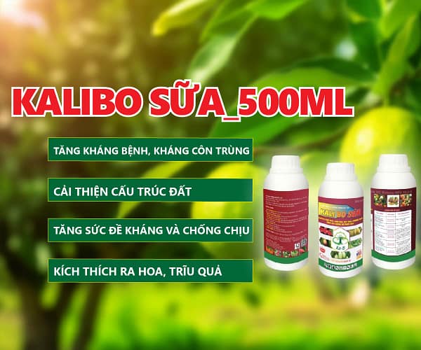 Kali Bo sữa 500ml DNP