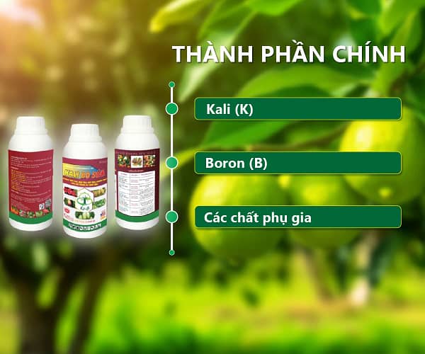 Kali Bo sữa 500ml DNP