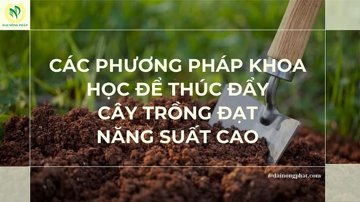 các phương pháp thúc đẩy cây trồng