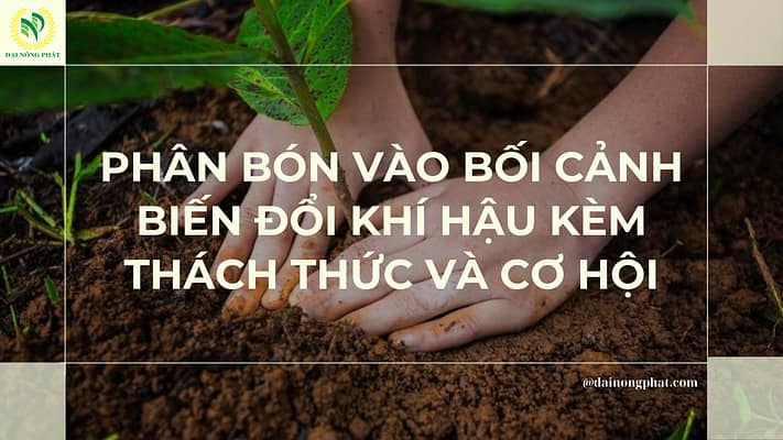 Thách thức và cơ hội của phân bón đối với biến đổi khí hậu